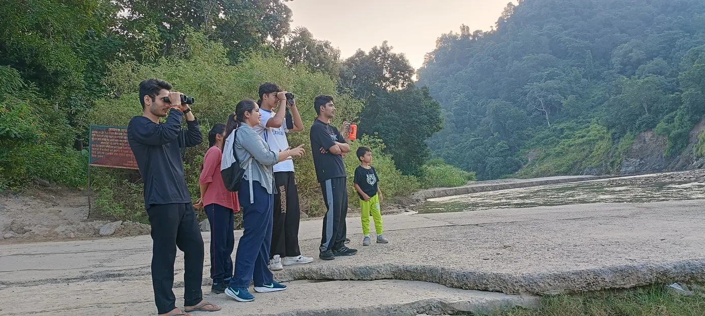 Walkers with binoculars on the rocky bank of a forest river