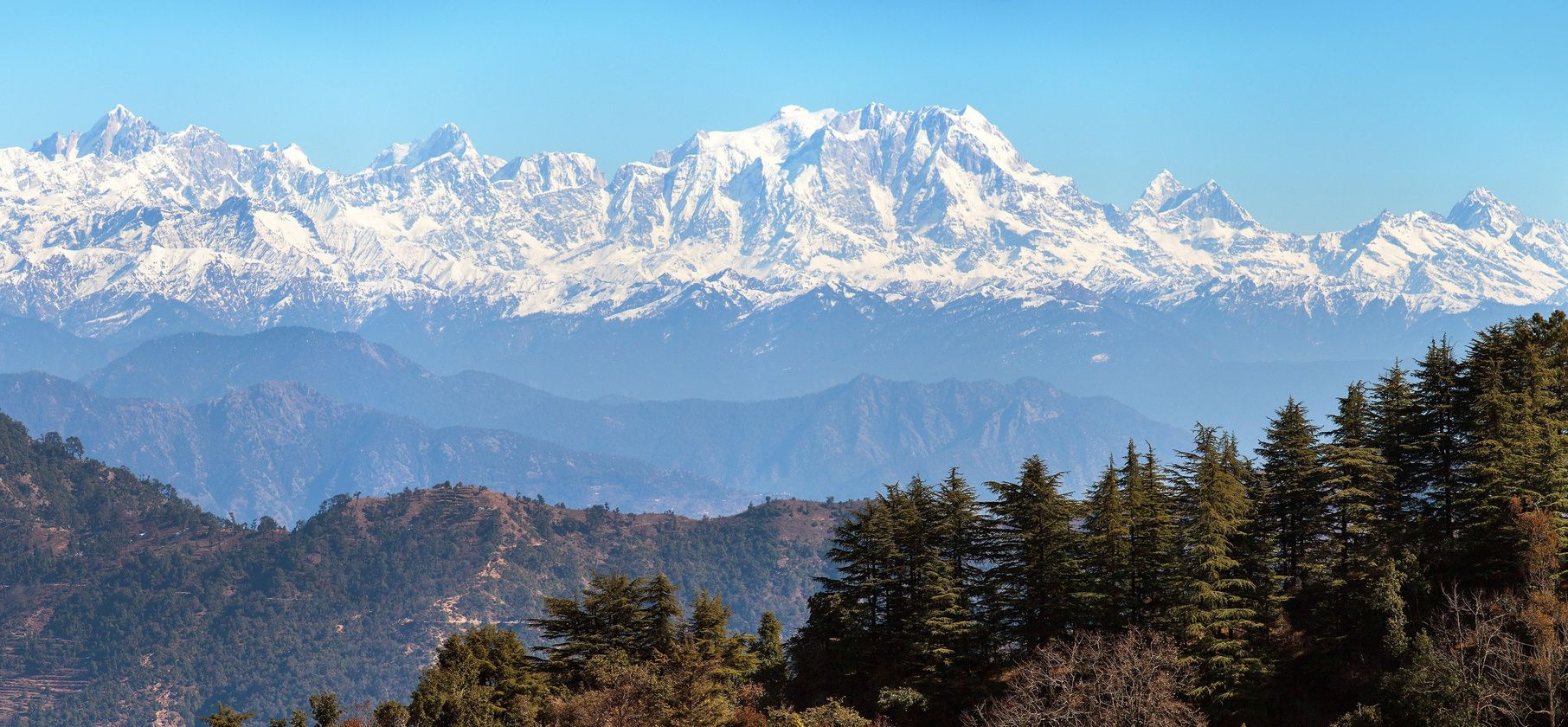 Snow peaks of the Garhwal Himalaya above ridges of deodar forest
