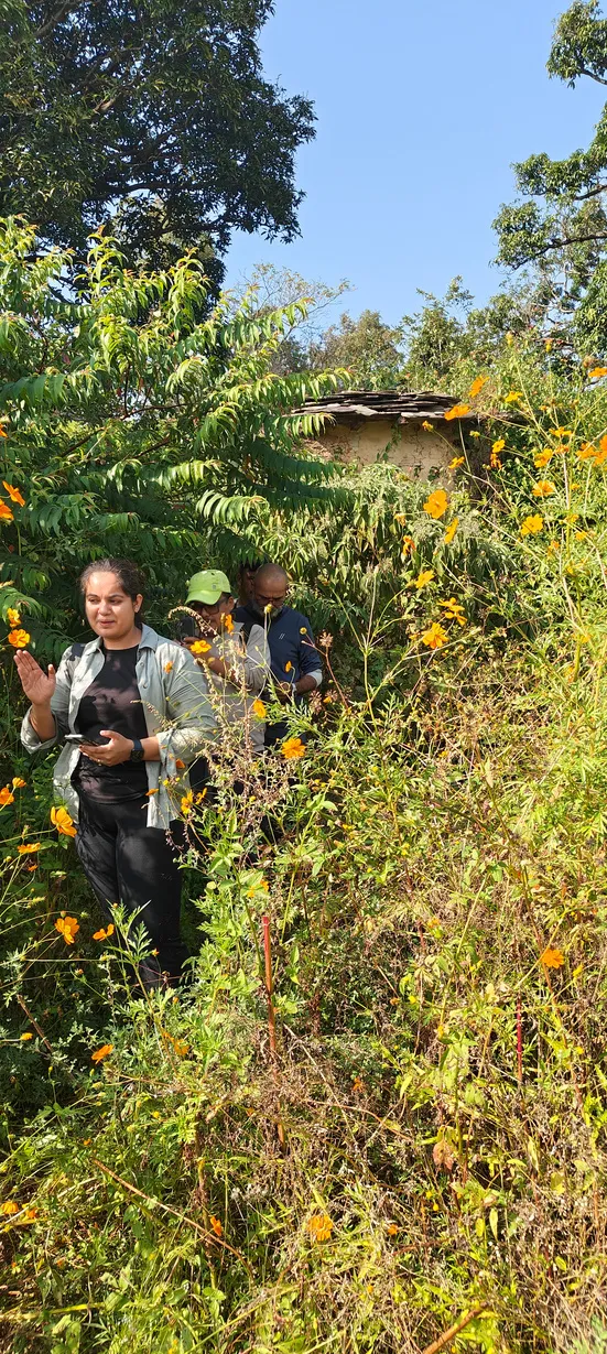 A chapter member leading a walk through marigolds to the abandoned village of Bor Gaon